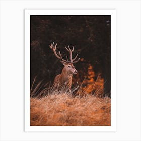 Warm Autumn Deer Art Print