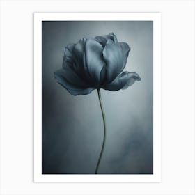 Black Flower 1 Art Print