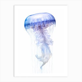 Sea Nettle Jellyfish Drawing 4 Art Print