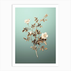 Gold Botanical Pink Hedge Rose in Bloom on Mint Green n.4096 Art Print