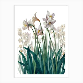 Daffodils 5 Art Print