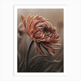 Gerbera Daisy 1 Art Print