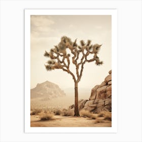  Photograph Of A Joshua Tree In Grand Canyon 2 Art Print