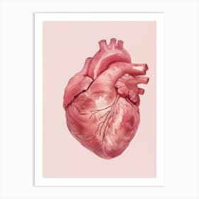 Pink Heart Art Print