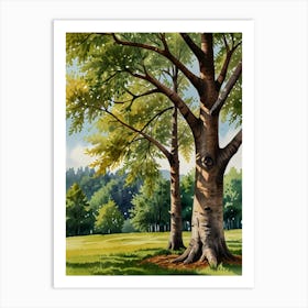 Watercolor Of A Tree Art Print