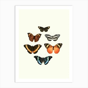 Vintage Butterflies In A Heart Art Print