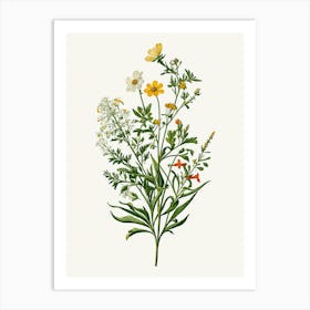 Vintage Botanical Galleria Style Wildflower Painting 4 Art Print