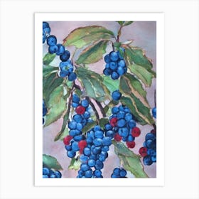 Huckleberry 1 Classic Fruit Art Print