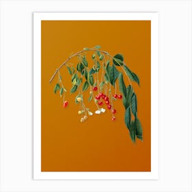 Vintage Visciola Cherries Botanical on Sunset Orange n.0583 Art Print