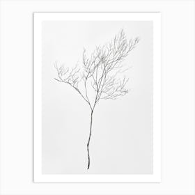 Bare Tree 3 Art Print