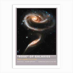 Rose Of Galaxies 1 Art Print