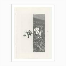 Forget Me Not Flower Photo Collage 2 Art Print