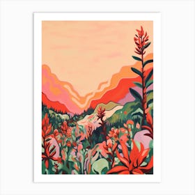 Boho Wildflower Painting Indian Paintbrush 3 Art Print