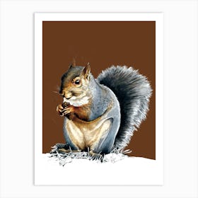 The Grey Squirrel On Roast Peach Art Print