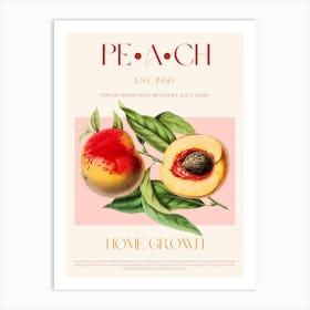 Peach Fruit Mid Century Art Print