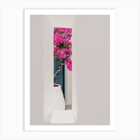 Flowers In Window Art Print
