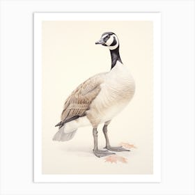 Vintage Bird Drawing Canada Goose 2 Art Print