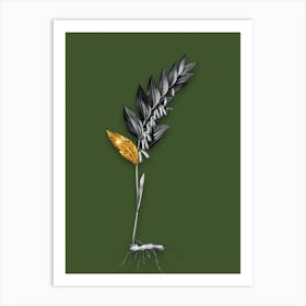 Vintage Angular Solomons Seal Black and White Gold Leaf Floral Art on Olive Green n.0840 Art Print