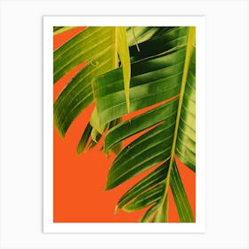 Palm Leaves On Orange Background Art Print