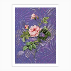 Vintage Pink Rose Turbine Botanical Illustration on Veri Peri n.0783 Art Print