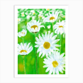 Daisy White Flower Summer Garden Painting Art Print