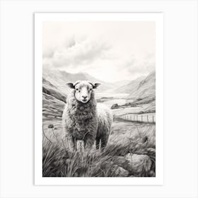 Black & White Illustration Of Highland Sheep With The Valley In The Distance 1 Art Print