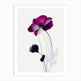 Anemone Floral Minimal Line Drawing 1 Flower Art Print