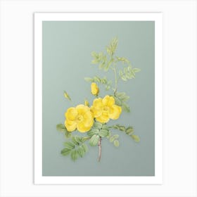 Vintage Yellow Sweetbriar Roses Botanical Art on Mint Green n.0025 Art Print