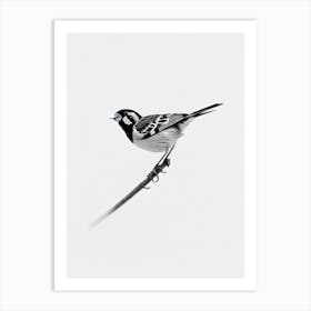 House Sparrow B&W Pencil Drawing 2 Bird Art Print