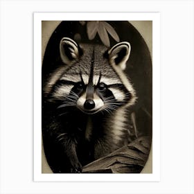 Honduran Raccoon Portrait Vintage Photography 2 Art Print