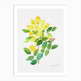 Mahonia1 Art Print