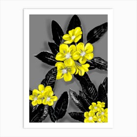 Flower Plumeria Art Print