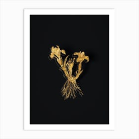 Vintage Sand Iris Botanical in Gold on Black Art Print