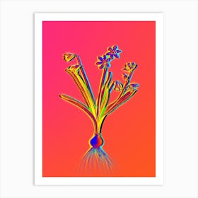 Neon Scilla Amoena Botanical in Hot Pink and Electric Blue Art Print