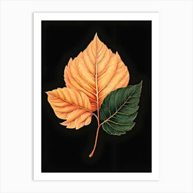 Autumn Leaves 13 Art Print