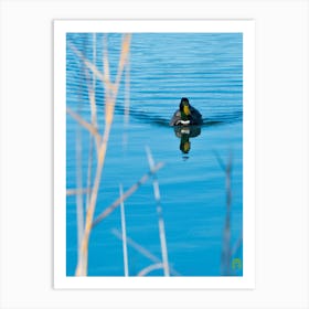 Duck In Water 20220101 123ppub Art Print