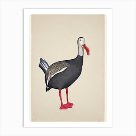 Albatross Illustration Bird Art Print