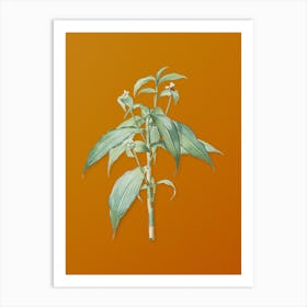 Vintage Commelina Zanonia Botanical on Sunset Orange n.0823 Art Print