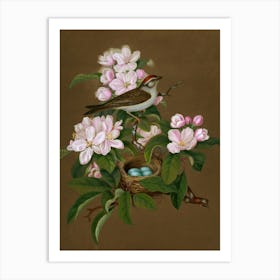 Bird In A Nest Art Print