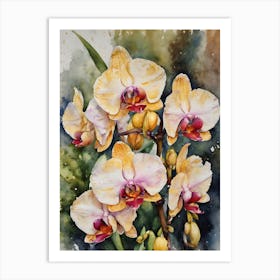 Vanilla Orchids Water Colour 2 Art Print