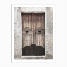 Old Wooden Door 3 Art Print