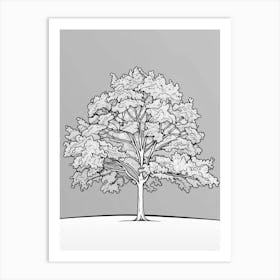 Walnut Tree Minimalistic Drawing 1 Art Print