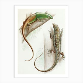 Vintage Painting Lizards Art Print