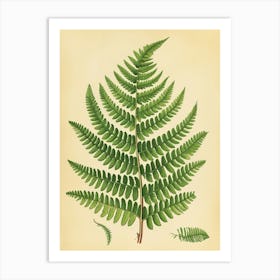 Vintage Illustration Lady Fern 4 Art Print