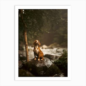 Cocker Spaniel By The River- Scotland Highland UK dog photo print - moody animal photography Art Print