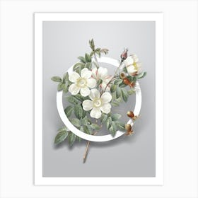 Vintage White Candolle Rose Minimalist Flower Geometric Circle on Soft Gray n.0504 Art Print