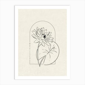 Water Lily Flower Art Print