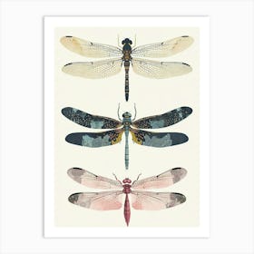 Colourful Insect Illustration Dragonfly 8 Art Print