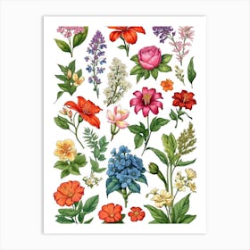 Wild Flowers Art Print