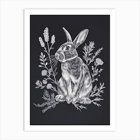 English Silver Rabbit Minimalist 1 Art Print